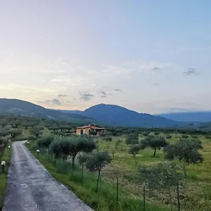  Villa L'ulivo